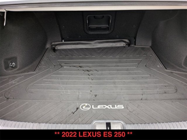 2022 Lexus ES 250 ES 250