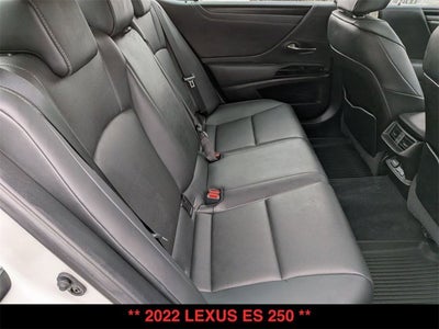 2022 Lexus ES 250 ES 250