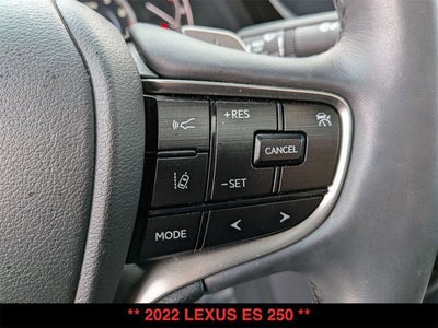 2022 Lexus ES 250 ES 250