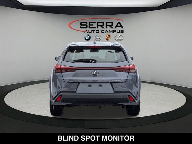 2025 Lexus UX 300h UX 300h Premium