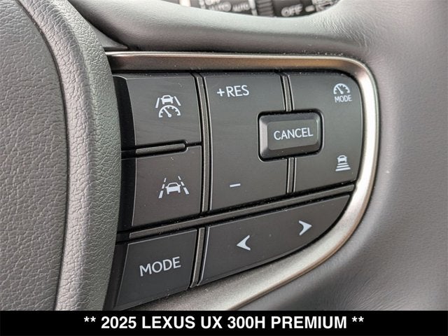 2025 Lexus UX 300h UX 300h Premium