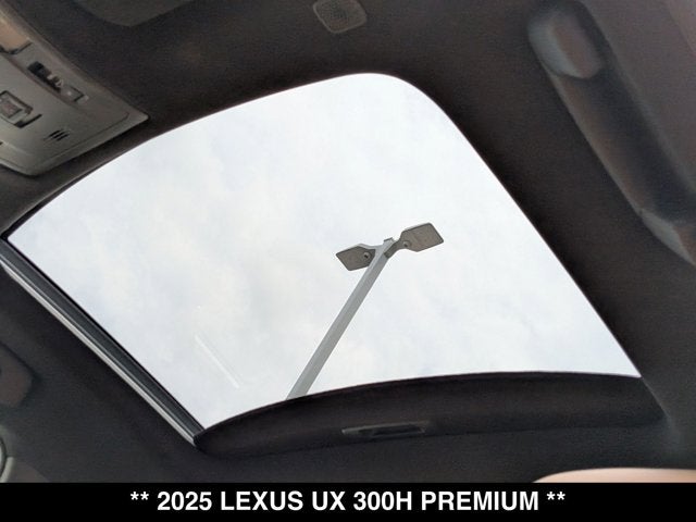 2025 Lexus UX 300h UX 300h Premium