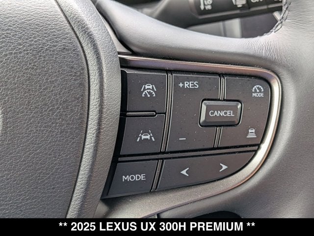 2025 Lexus UX 300h UX 300h Premium