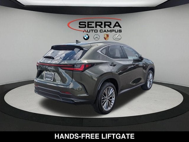 2025 Lexus NX 350h NX 350h Luxury
