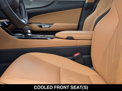 2025 Lexus NX 350h NX 350h Luxury