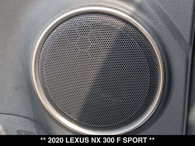 2020 Lexus NX 300 NX 300 F SPORT