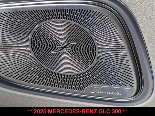 2025 Mercedes-Benz GLC 300 GLC 300